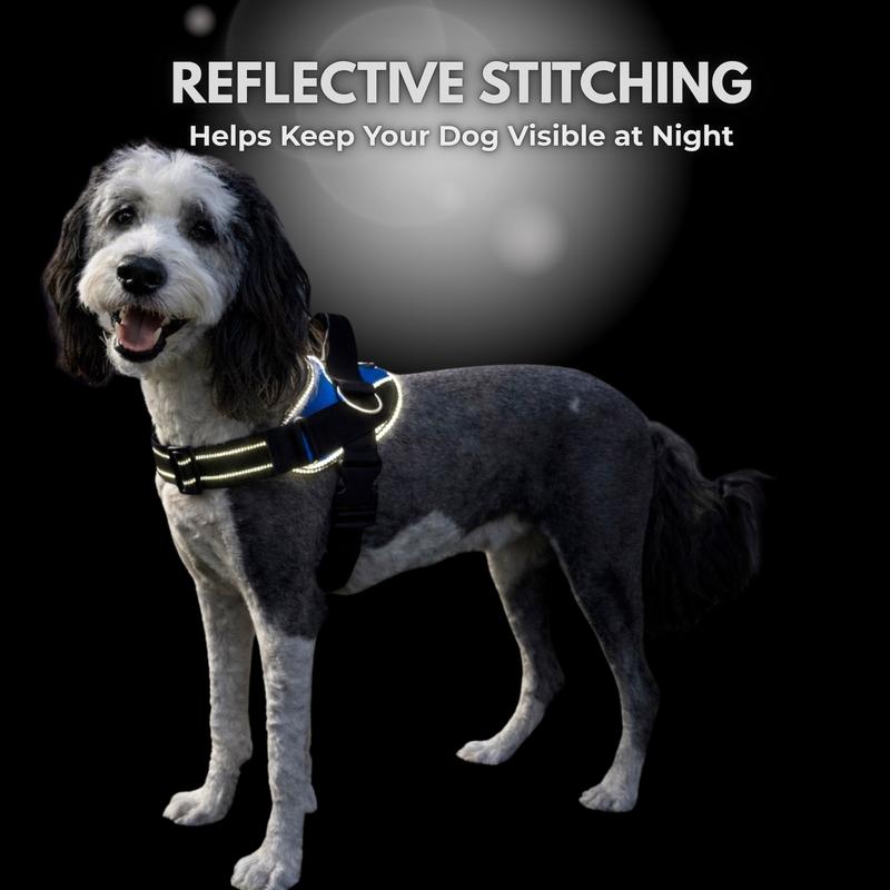 TrailPup Essential No-Pull Dog Harness