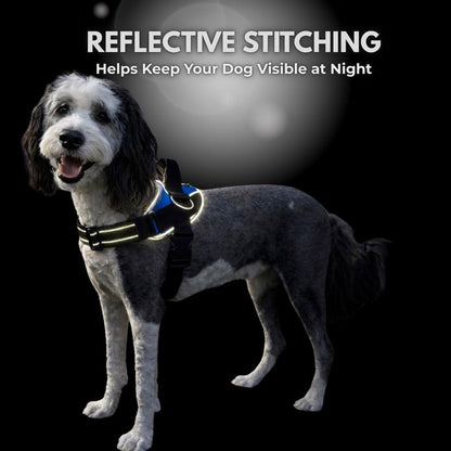TrailPup Essential No-Pull Dog Harness